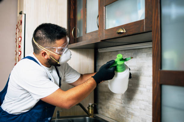 Best Mosquito Control Services  in Westphalia, MD