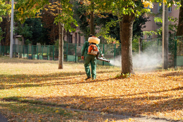 Best Termite Control Services  in Westphalia, MD