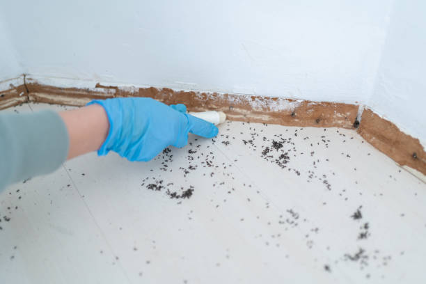 Wildlife Control Services in Westphalia, MD